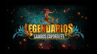 MIX LEGENDARIOS SAMBOS CAPORALES RECREACIÓN DJ SAC 2024 sambos caporales 🔥💪🖤🤍 [upl. by Rourke]