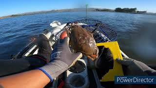 Dungeness Crab season opener at Bodega Bay [upl. by Spielman]