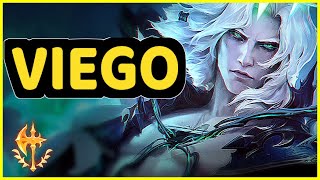 VIEGO JUNGLE HIGHLIGHTS [upl. by Blainey]