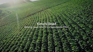 Let’s hit the “Kimchi Road” with this video [upl. by Seaton]