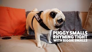 Pug singing along to biggie smalls Juicy [upl. by Eserrehs]