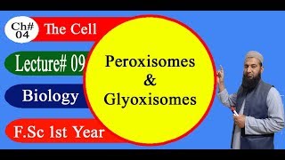 Biology Ch04Lecture09 Peroxisomes and Glyoxisomes FSc 1st Year [upl. by Yanffit72]