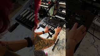 KORG Mini Sound Demo TapeSine Preset on KORG minilogue xd Inverted [upl. by Vin]