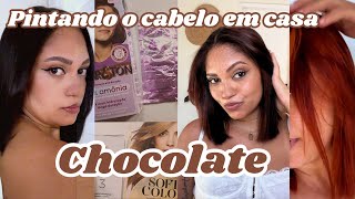 Transformação Radical  Saindo do preto para o chocolate ✨🍫 Meu cabelo emburrachou😱 [upl. by Erusaert]