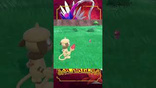 Shiny Toxel Mass Outbreak  Pokemon Scarlet amp Violet [upl. by Aural]