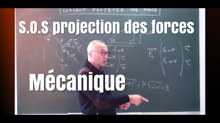 Calculer une FORCE ÉLECTROSTATIQUE  ✏️ Exercice  1ère spé  Physique [upl. by Killen]