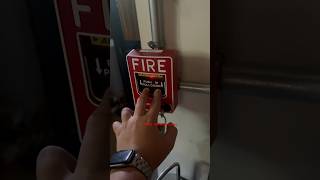 Pulling a FireLite BG12LX Fire Alarm Pull Station [upl. by Chasse]