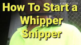 How To Start a Whipper Snipper [upl. by Reinar830]