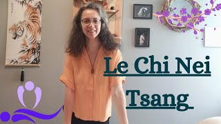 💫 Le Chi Nei Tsang ou massage de lénergie des organes internes ☯️ Énergie vitale 🌟💟 [upl. by Eseeryt739]