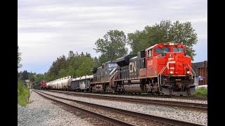 BCOL 4646 Trails on CN A417 AND MORE at Douglas Road [upl. by Llewej969]