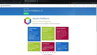 Netbeans Advanced Editor Spring 2024 Review [upl. by Dranel]