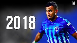 Mahmoud Hassan Trezeguet  2018  Skills  Goals and Assists  HD [upl. by Bard]