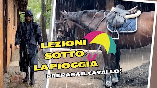 ROUTINE AL MANEGGIO  Preparare il Cavallo sotto la Pioggia equitazione [upl. by Ydal]