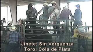 Jaripeo y Baile Ranchero en Chowchilla 091609 [upl. by Edac]