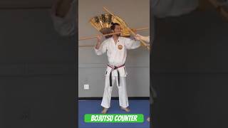 Bojutsu  Jojutsu Counter Attack bo kubudo weapons bostaff [upl. by Oirasec]