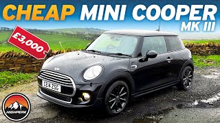 I BOUGHT A CHEAP MINI COOPER FOR £3000 [upl. by Enialehs188]