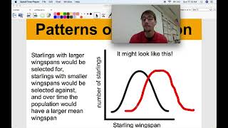 Patterns of Evolution  Life ScienceBiology HSLS44 [upl. by Ajit]