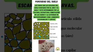 Porosidad del suelo propiedad fisica shorts short viral educación agricultura agriculture [upl. by Aniala]