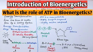 Bioenergetics  a brief introduction  What is the role of ATP in Bioenergetics [upl. by Grantley]