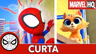 Spidey e Seus Amigos Espetaculares SOS Gatinho [upl. by Normi593]