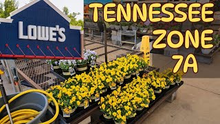 Lowes New inventory for March 2024  Spring annuals are here [upl. by Eissirhc]