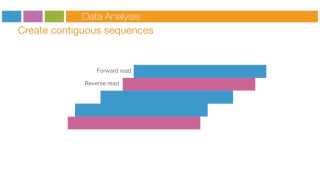 Illumina Sequencing Technology [upl. by Lewse160]