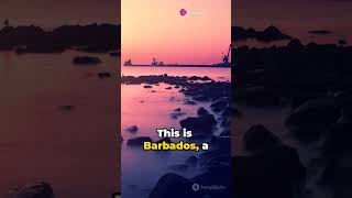 Barbados A Journey Through Time [upl. by Codi]