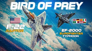 EF2000 Eurofighter Typhoon Vs F22 Raptor Dogfight  Digital Combat Simulator  DCS [upl. by Conard]