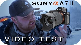 SONY A7II VIDEO TEST  CINEMATIC  REVIEW [upl. by Nigrom946]