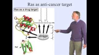 Ras oncogene  Alfred Wittinghofer MPI [upl. by Ulrick]