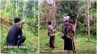 Mengatasi Hama Tupai Pada Pohon Kelapa [upl. by Kumar]