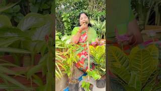 RRR Nursery Part12 comedy shorts richakka [upl. by Jago]