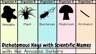 Dichotomous Keys Identification Achievement Unlocked [upl. by Avirt]