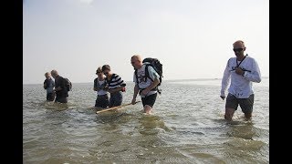 Mudflat Hiking in The Wadden Sea  Around The World [upl. by Angela]