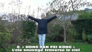 DYYSG Qigong du poumon François Hainry Disciple direct de YOU Xuan De ABTCC21 [upl. by Duax]