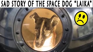 What Happened to Laika in Space [upl. by Deeanne]