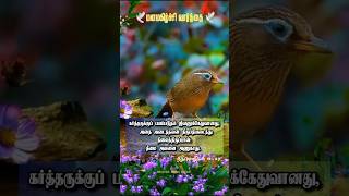 மனமகிழ்ச்சி வார்த்தைTamil Bible Versesshorts [upl. by Orenid]