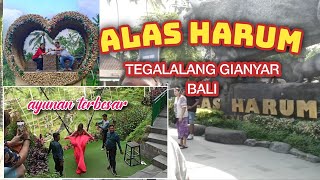 TRIP 002❗ALAS HARUM TEGALALANG  BALI ❗tempat wisata KEREN di Bali [upl. by Oirom519]