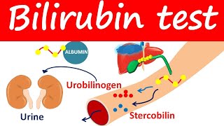 Bilirubin test  Direct Indirect amp Total bilirubin levels [upl. by Rocker]