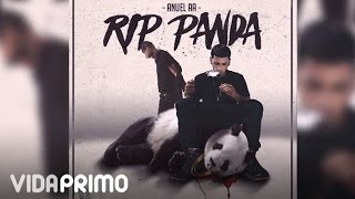 Anuel AA  RIP Panda ft Arcangel Official Audio [upl. by Eneloj]