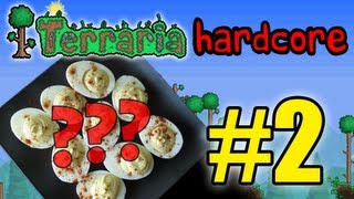 Terraria HC  Part 2 WHAT ARE WE DOING [upl. by Siravaj164]