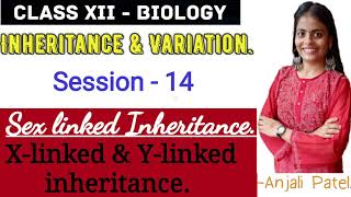 Class XII Biology  Inheritance and Variation  Sex linked Inheritance  X amp Y linked inheritance [upl. by Ardnahcal250]