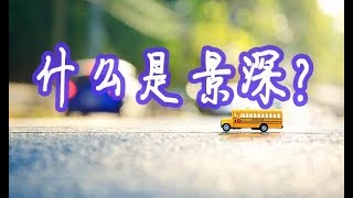 【摄影教程】景深是什么？很深吗？ [upl. by Acnaib279]