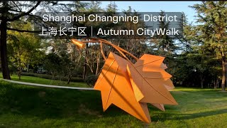 Shanghai Walking Tour  An Autumn Walk in Changning District  上海 ｜秋季街景：长宁区 [upl. by Ecinom]