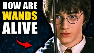 How Are Wands ALIVE  Harry Potter Explained [upl. by Atirahs781]