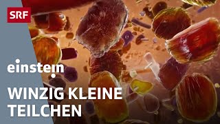 Revolution Nanotechnologie – die faszinierenden MiniTeilchen sind überall  Einstein  SRF Wissen [upl. by Aihsemaj]