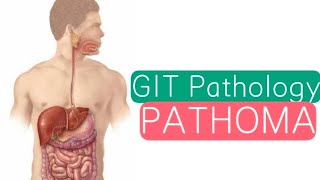 GIT Pathology PATHOMA 2  Esophagus [upl. by Clarice]