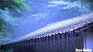 Heavy Rainfall amp Thunder in the Forest Relaxing Sounds for Restful Sleep [upl. by Ymassej806]