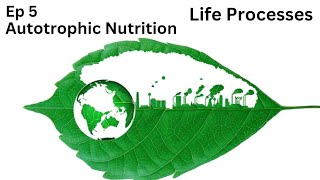 Ep 5  Autotrophic Nutrition  Life Processes  Class 10 [upl. by Otte]