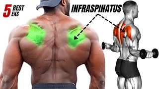 TOP 5 INFRASPINATUS MUSCLE WORKOUT AT GYM [upl. by Jillane]